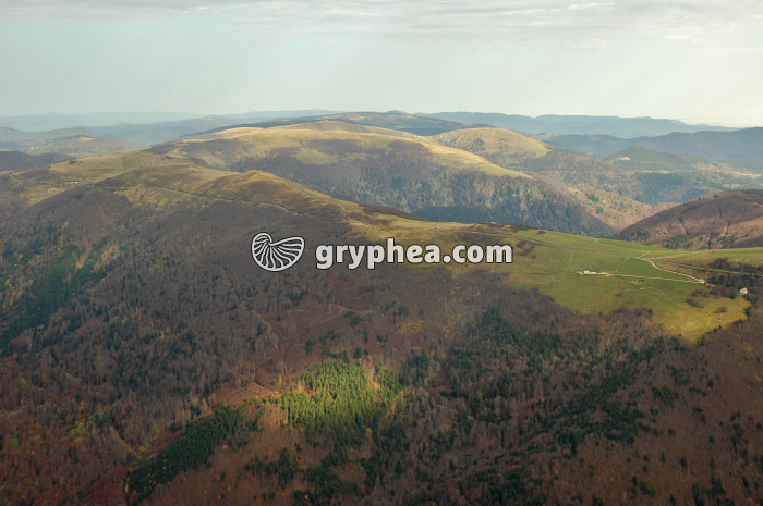 Relief hercynien (Vosges) - gryphea.org